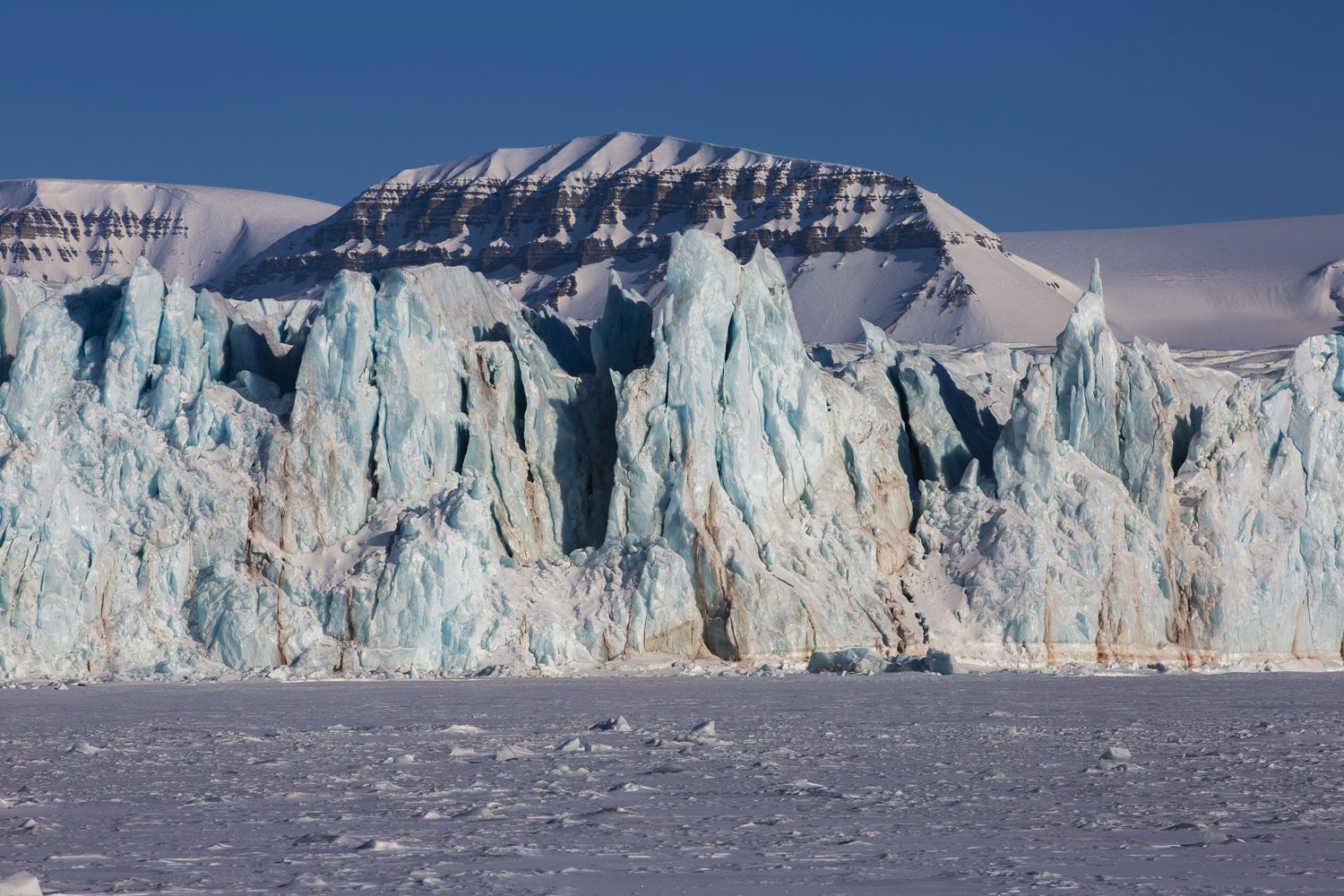Svalbard Extreme Expedition · momento 6